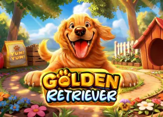 Pragmatic : Golden Retriever - JOOX138